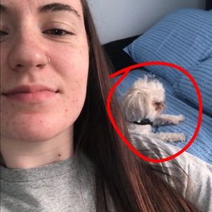 Meet your Posher, Victoria